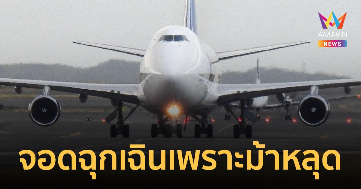 ระทึก! เครื่องบินบรรทุกสินค้าต้องลงจอดฉุกเฉิน เนื่องจากม้าหลุดคอก