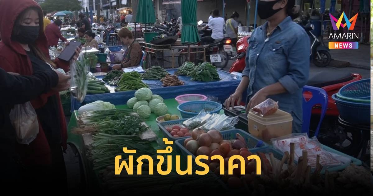 ราคาผักสูงขึ้น หลังอากาศหนาวเย็น ทำให้ผักชะลอการเติบโต