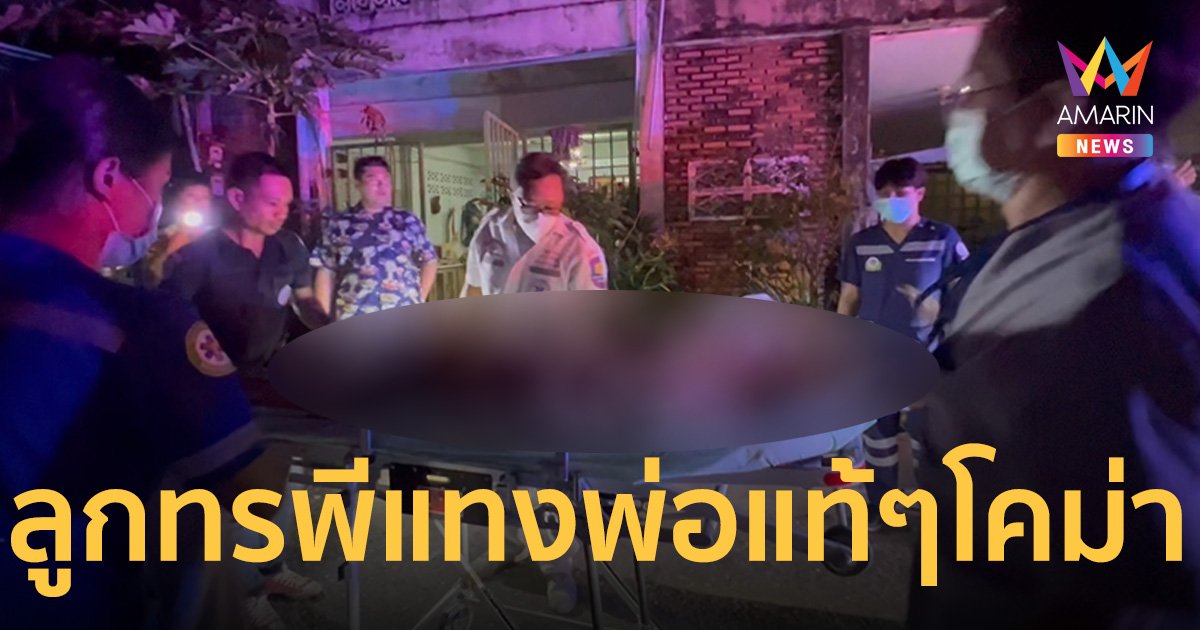 ลูกทรพีหลอน เพ้อเป็นลูกพระนเรศวรไล่ล่าเขมร แทงพ่อแท้ๆ นับสิบแผล