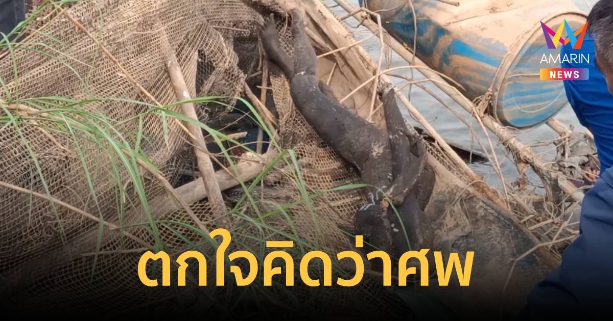 แตกตื่น แจ้งตำรวจพบศพผู้หญิงหัวขาดริมแม่น้ำโขง แพทย์ตรวจพบเป็นหุ่น!
