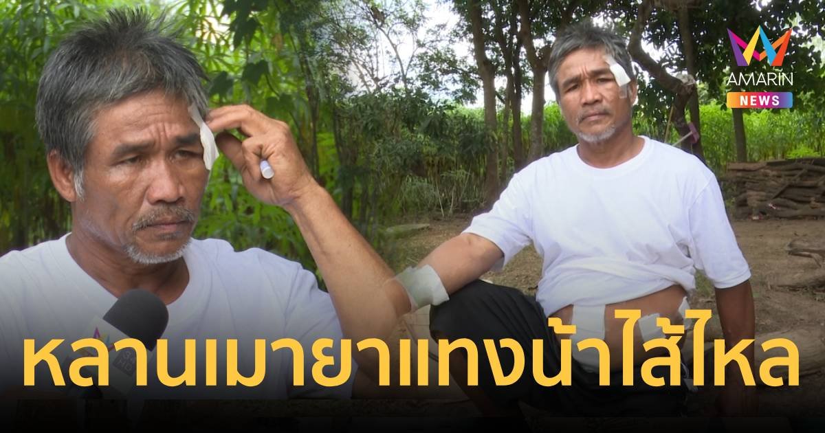 ชาวบ้านผวา!หลานเมายาบ้าแทงน้าไส้ไหล ตำรวจจับแล้วปล่อยตัวออกมา