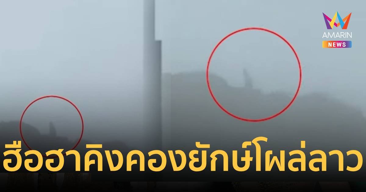 ฮือฮาลิงยักษ์ตัวเท่าคิงคองโผล่ยอดเขา