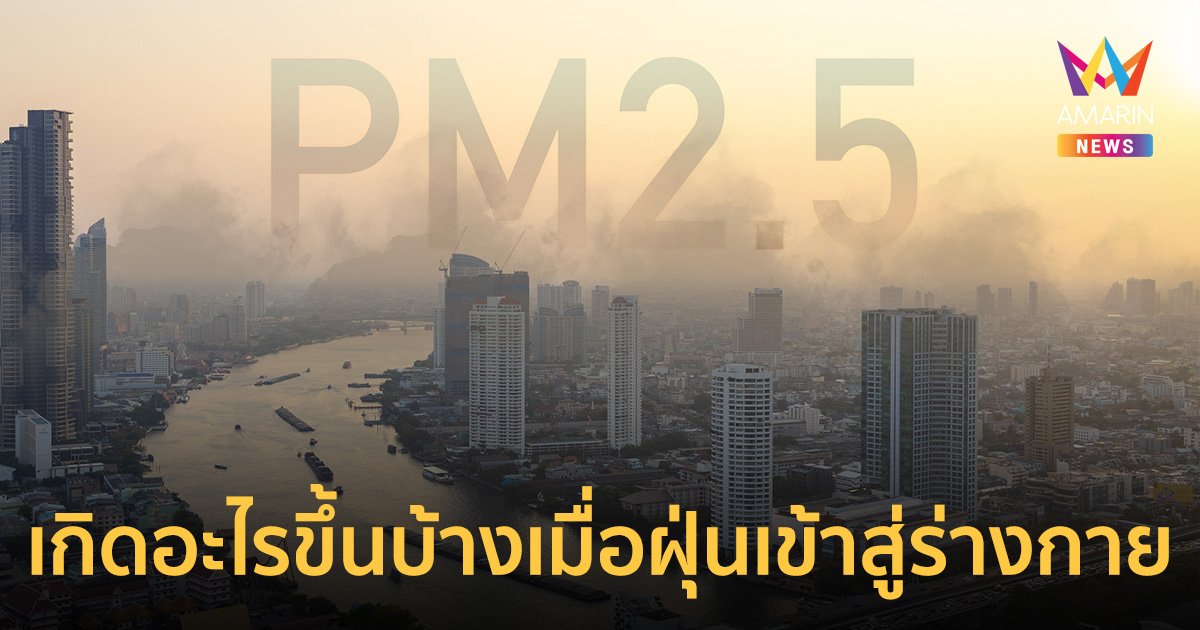 ฝุ่น PM2.5 ทำเสี่ยง มะเร็งปอด มากถึง 1-1.4 เท่า สยอง! ขั้นตอนทำลายเซลล์ปอด