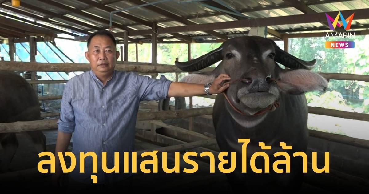 พ่อเลี้ยงค้าไม้หันมาลองเลี้ยงควาย สุดฟินลงทุนหลักแสนมีรายได้หลักล้าน