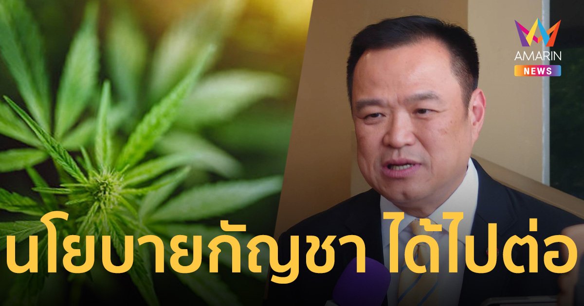 สายเขียวเฮ! “อนุทิน” มั่นใจ นโยบายกัญชา ได้ไปต่อ   