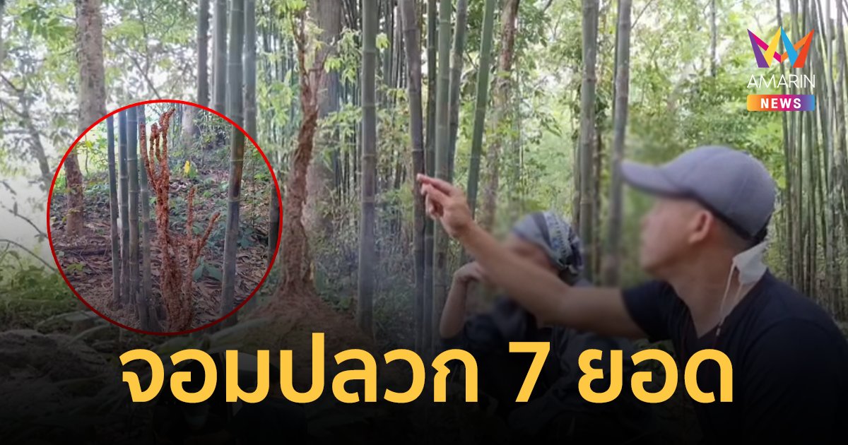 ส่องเลขเด็ด 1/9/66 จอมปลวกสร้างรังคล้ายเจดีย์ 7 ยอด