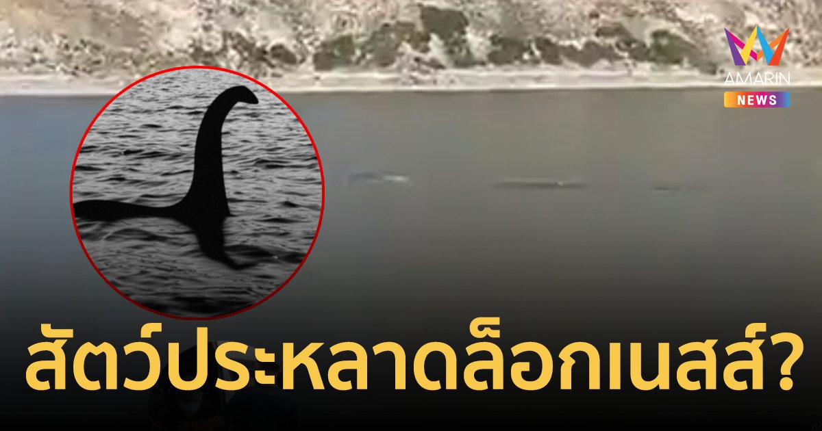สาวจีนถ่ายติดสัตว์ปริศนากลางทะเลสาบ ลักษณะคล้าย "ล็อกเนสส์"