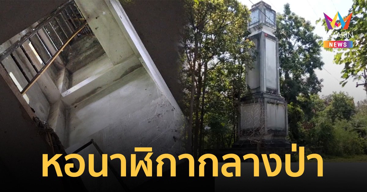 สุดแปลก! พบหอนาฬิกา สูงเท่าตึก 3 ชั้น ตั้งเด่นเป็นสง่าในป่าลึก