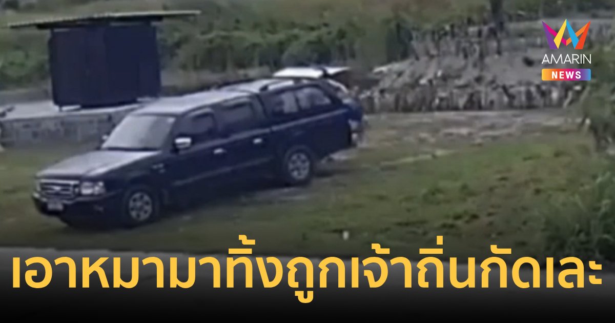 คนใจร้ายโยนหมาทิ้งจากกระบะ น้องนั่งรอไม่ไปไหนถูกเจ้าถิ่นกัดเละ