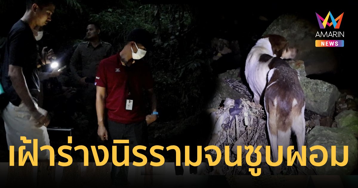 "เจ้าโก๋"สุนัขกู้ภัยเฝ้าศพนิรนามนานเกือบเดือนจนซูบผอม