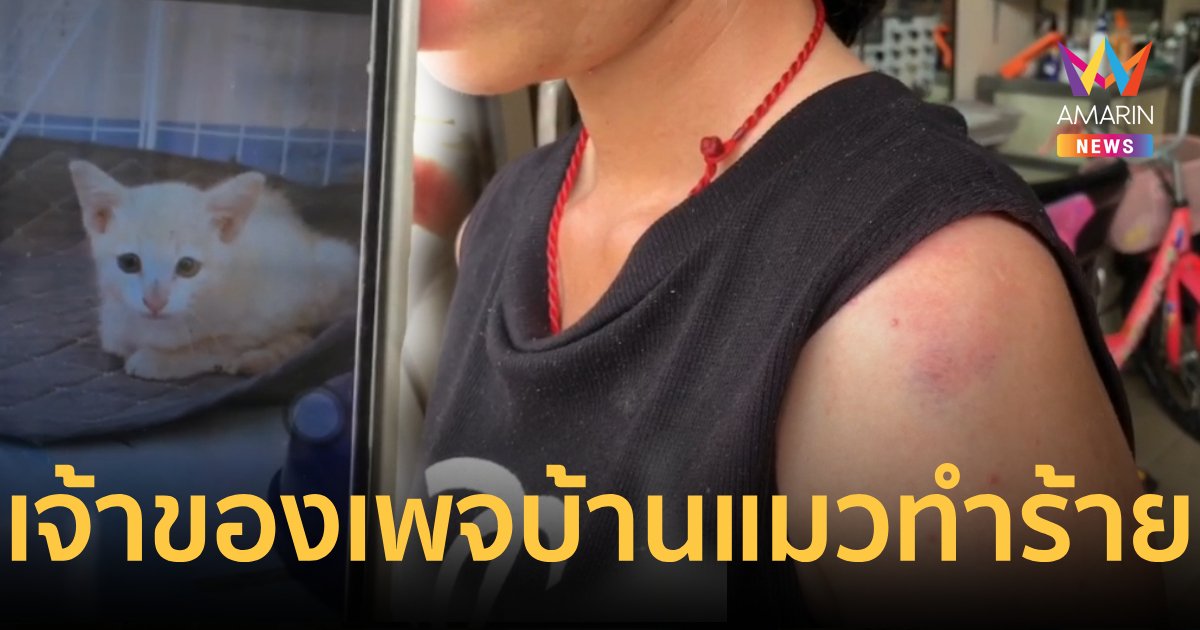สาวร้องถูกเจ้าของเพจจัดหาบ้านแมวบุกทำร้ายร่างกายไม่พอใจเอาแมวไปปล่อย 