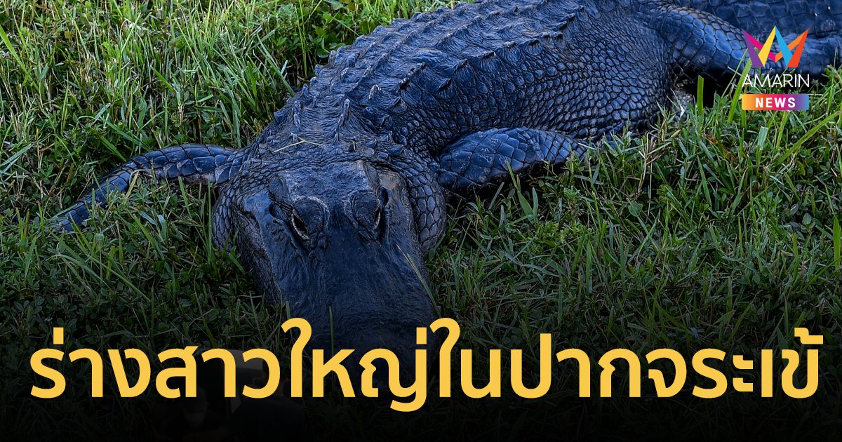 สยอง! พบศพสาวใหญ่วัย 41 ปี ติดอยู่ในปากจระเข้ยักษ์กว่า 4 เมตร