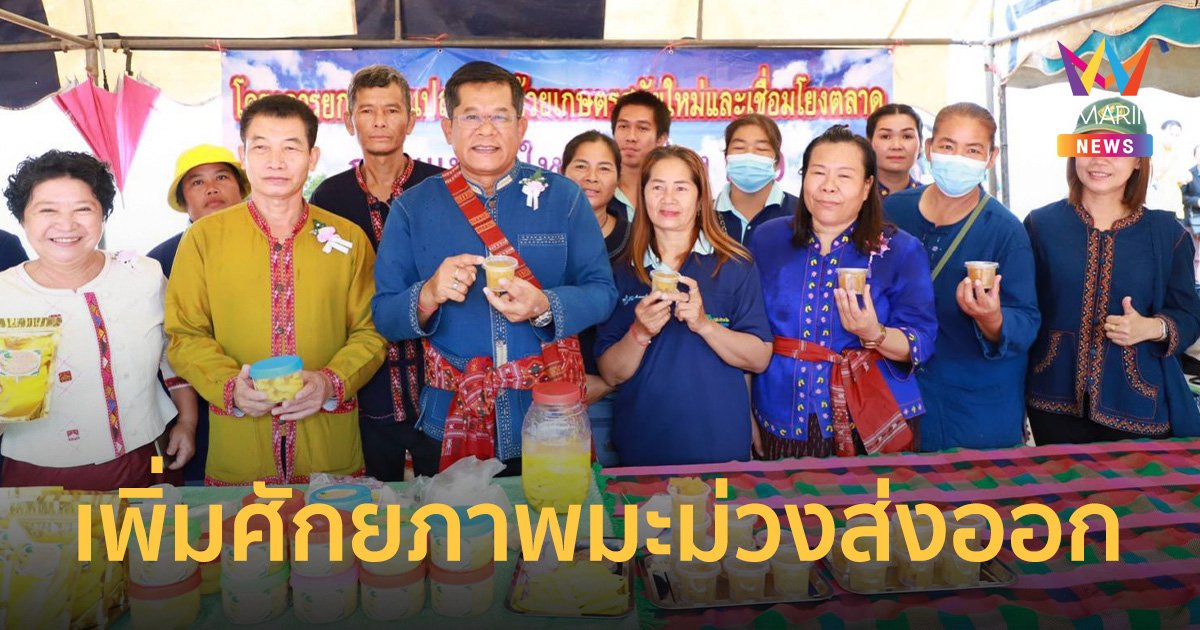 กรมส่งเสริมการเกษตร รณรงค์ควบคุมและกำจัดด้วงงวงเจาะเมล็ดมะม่วง เพิ่มศักยภาพส่งออก