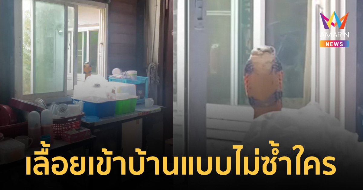 ชั้น 1 มันธรรมดาไป! "จงอาง" เอ็กซ์ตรีมขึ้นต้นไม้ เลื้อยเข้าบ้านทางหน้าต่างชั้น 2