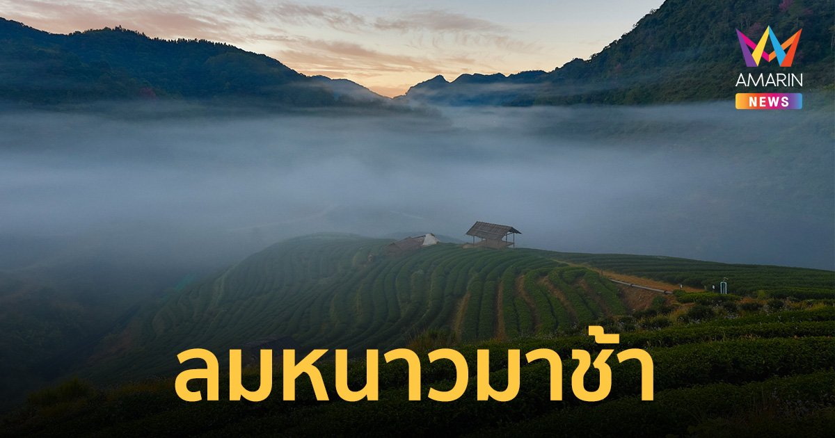 ปีนี้ หน้าหนาว มาช้า แถมอากาศไม่เย็นเท่าปีก่อน กทม. ต่ำสุด 17 องศาฯ