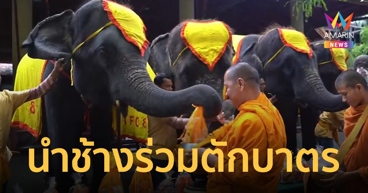 สวนนงนุช นำช้าง 9 เชือก ร่วมทำบุญตักบาตร วันนวมินทรมหาราช