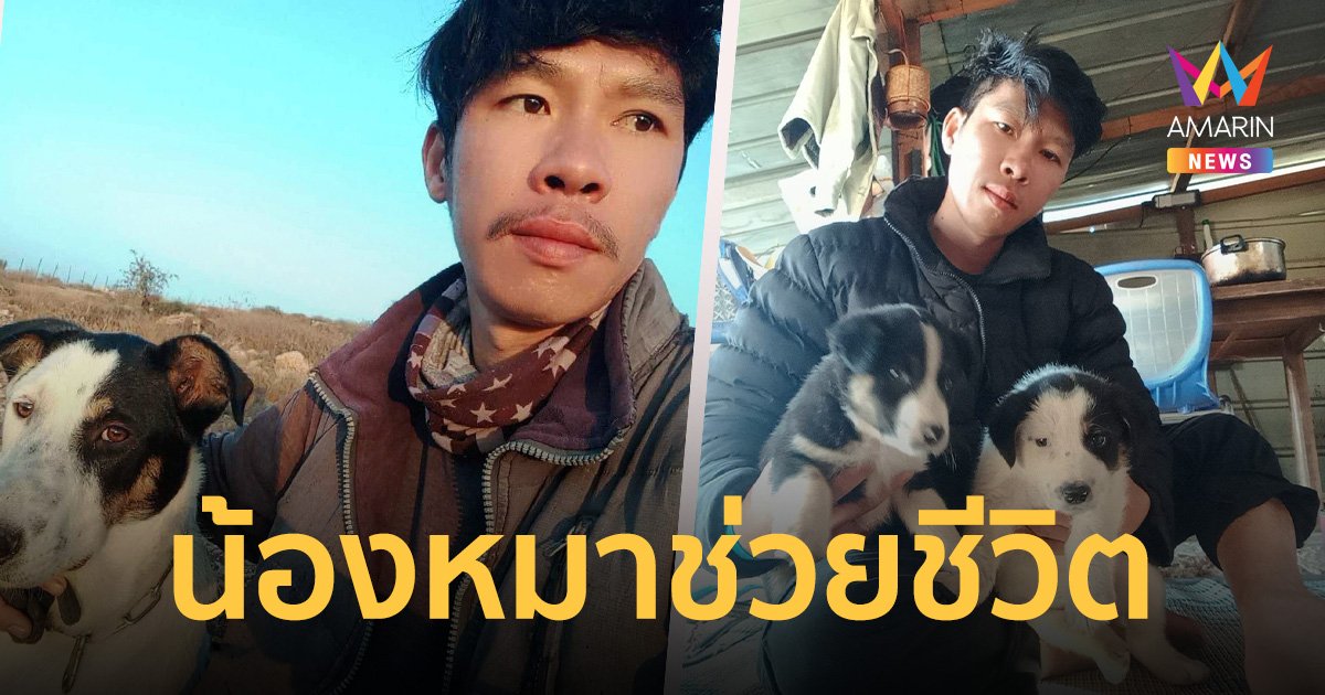 แรงงานไทยใน อิสราเอล เล่านาทีรอดชีวิต เพราะหมาเห่ากลุ่มคนปริศนา