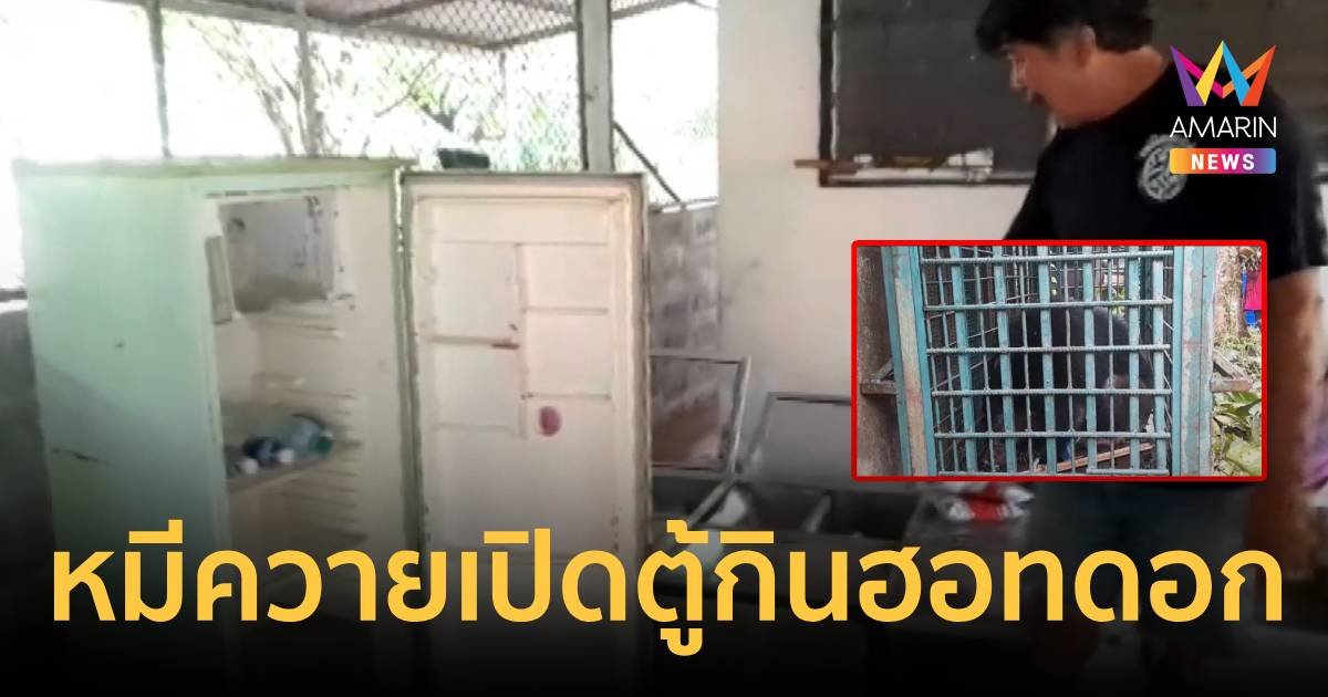 หมีควายเปิดตู้หาของกินบางวันก็ได้ฮอทดอก เจ้าบ้านทนไม่ไหวขอจนท.ช่วย