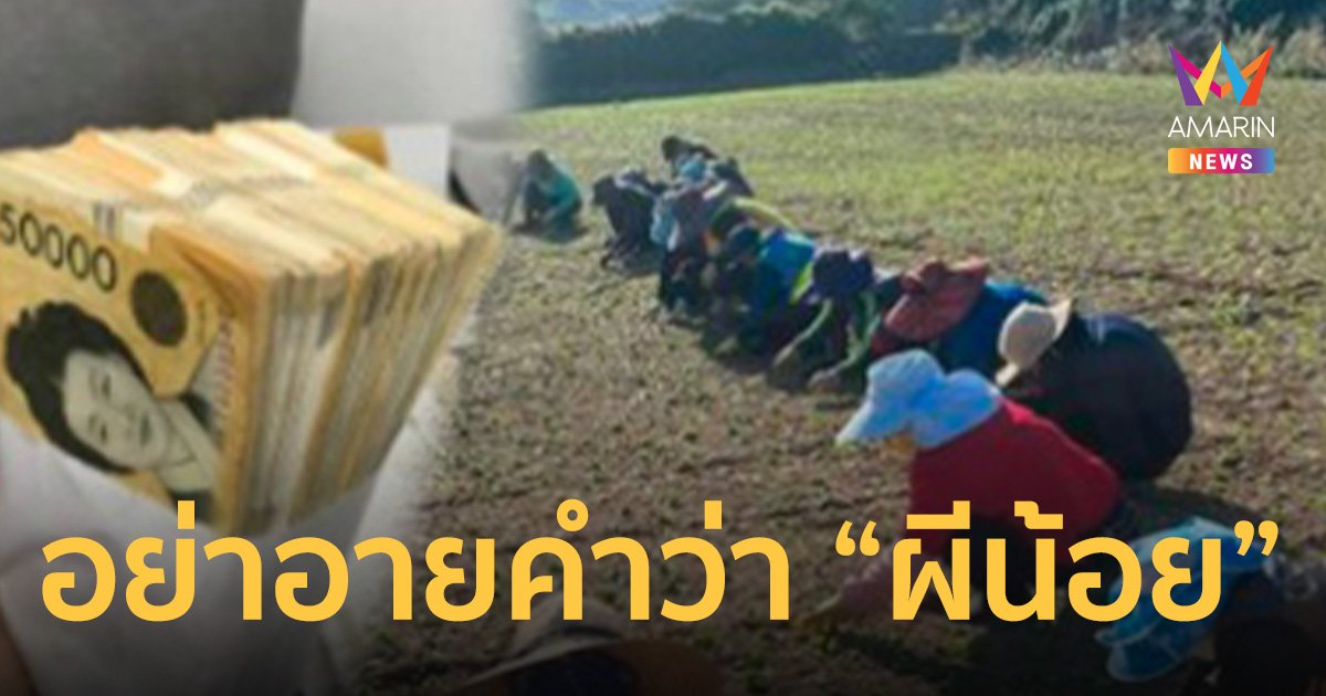 สาวซุกตม. แอบทำงานในเกาหลี โพสต์ปลุกใจอย่าอายคำว่า "ผีน้อย" ไม่มีเกียรติแต่มีกิน