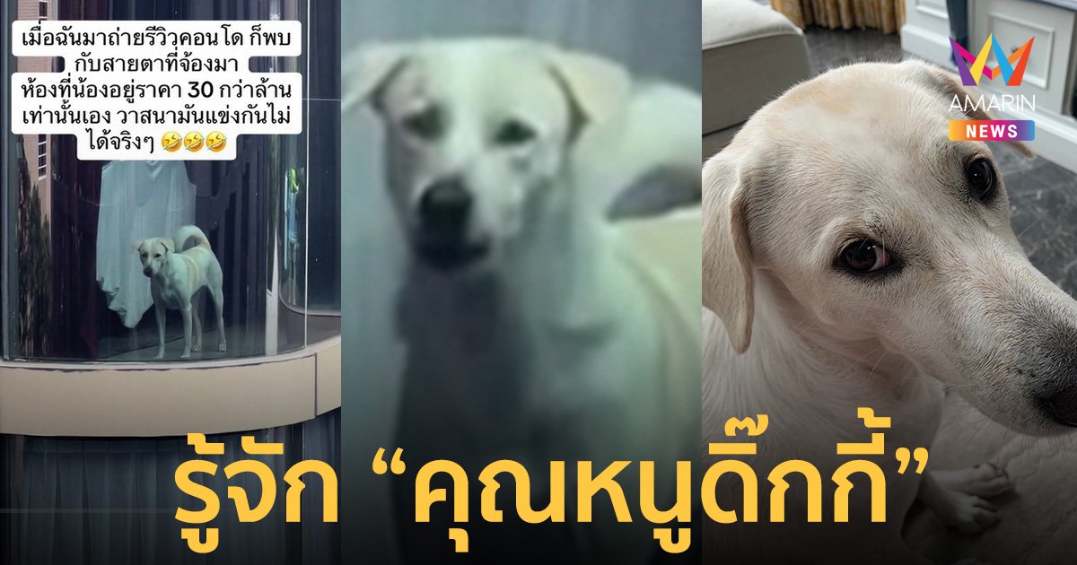 เปิดประวัติ "ดิ๊กกี้" จากหมาจรกำพร้า สู่ชีวิตลูกคุณหนู อยู่คอนโด 30 ล้าน