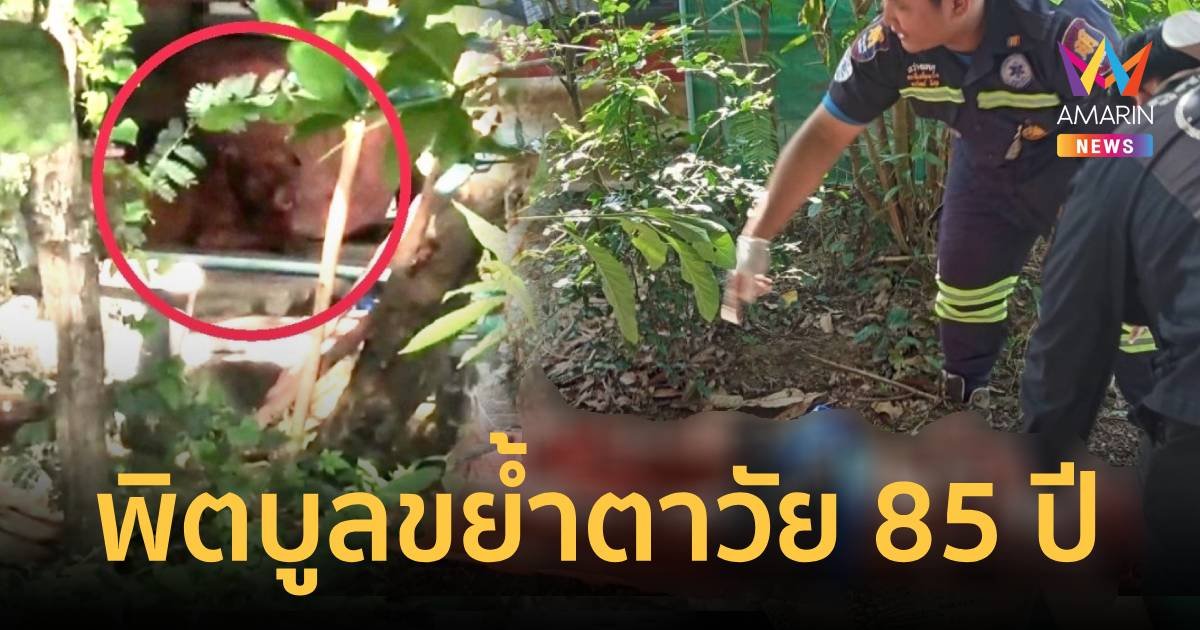 ตาวัย 85 ปีถูกพิตบูล สุนัขสุดรักขย้ำพรุนแผลทั้งตัวสาหัส