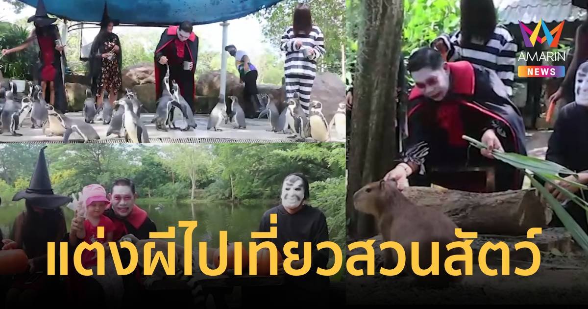 หลอนรับฮาโลวีน แต่งผีไปสวนสัตว์เปิดเขาเขียว ลดค่าเข้า