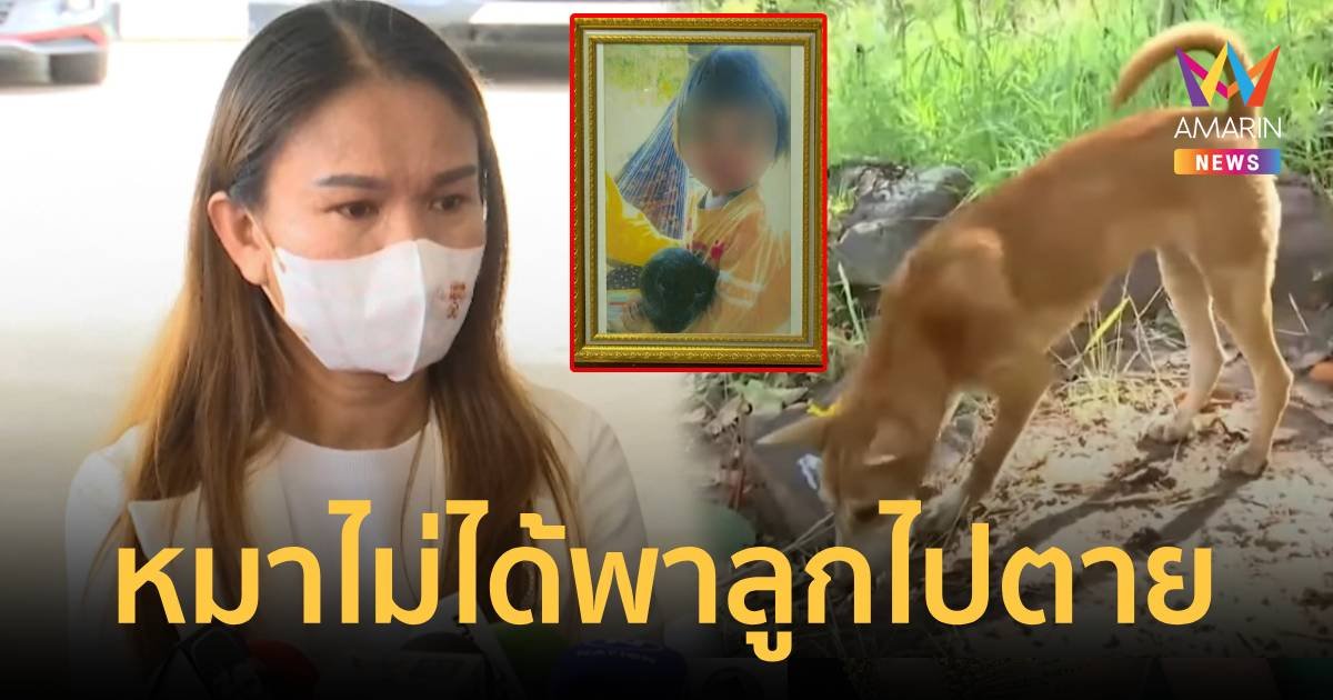 แม่น้องชมพู่ ยันเป็นไปไม่ได้ที่สุนัขจะพาลูกไปบนเขา