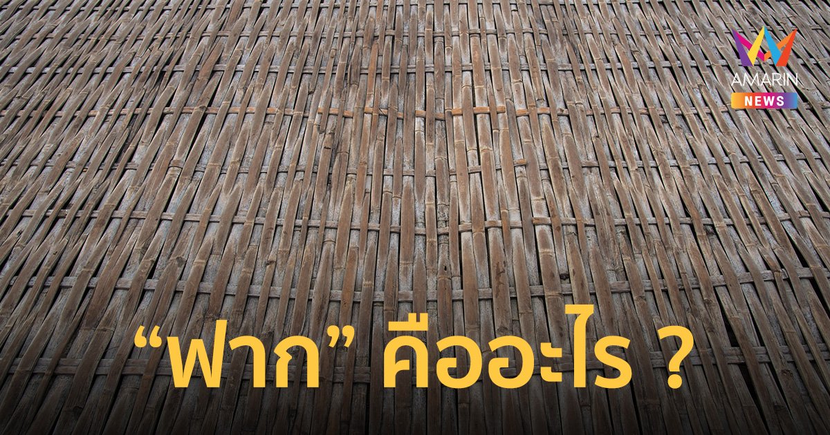 ฟาก คืออะไร เวลาตกฟาก เถียงคำไม่ตกฟาก เกี่ยวอะไรกับสิ่งนี้
