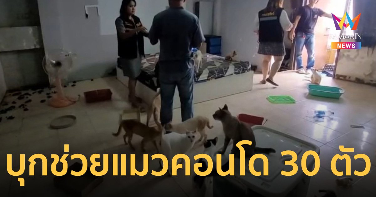 บุกช่วยแมวกว่า 30 ชีวิต ถูกทิ้งหิ้วโซในคอนโด