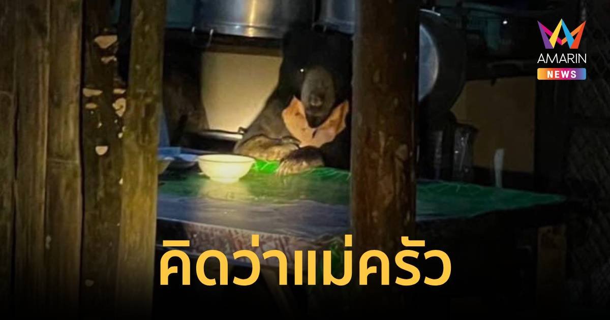 เจ้าทุเรียน นั่งอยู่ในครัวของอุทยานฯ เหมือนคนซะจนเกือบสั่งอาหารแล้ว