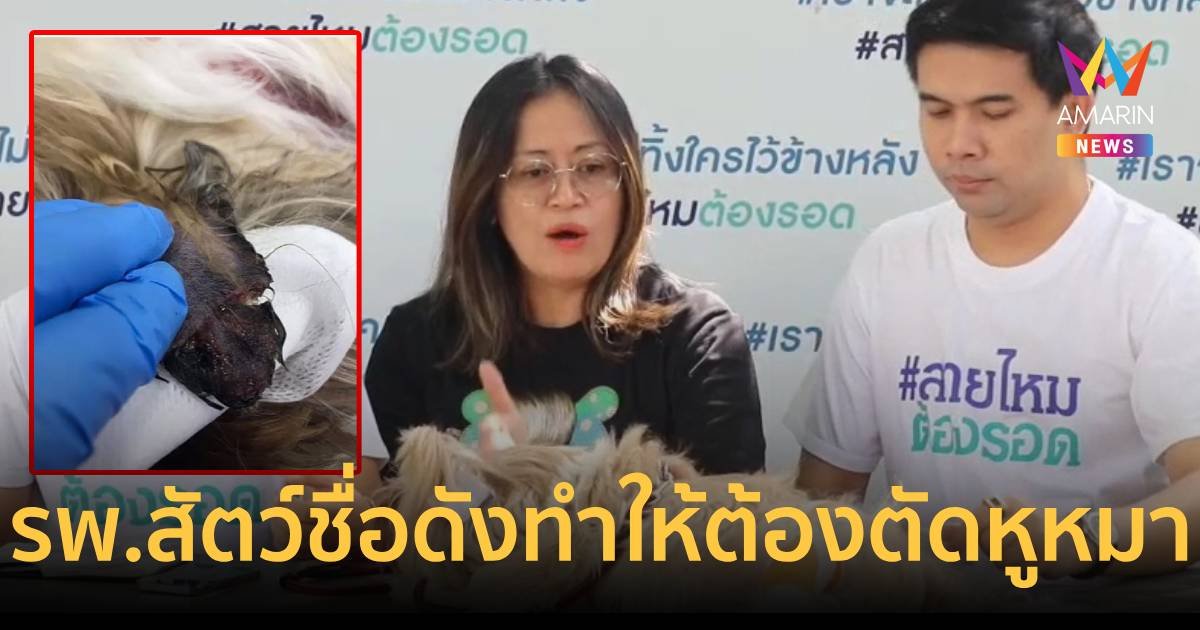 ร้อง รพ.สัตว์ มัดหูน้องหมาจนเป็นเนื้อตาย ต้องตัดหูทิ้ง!