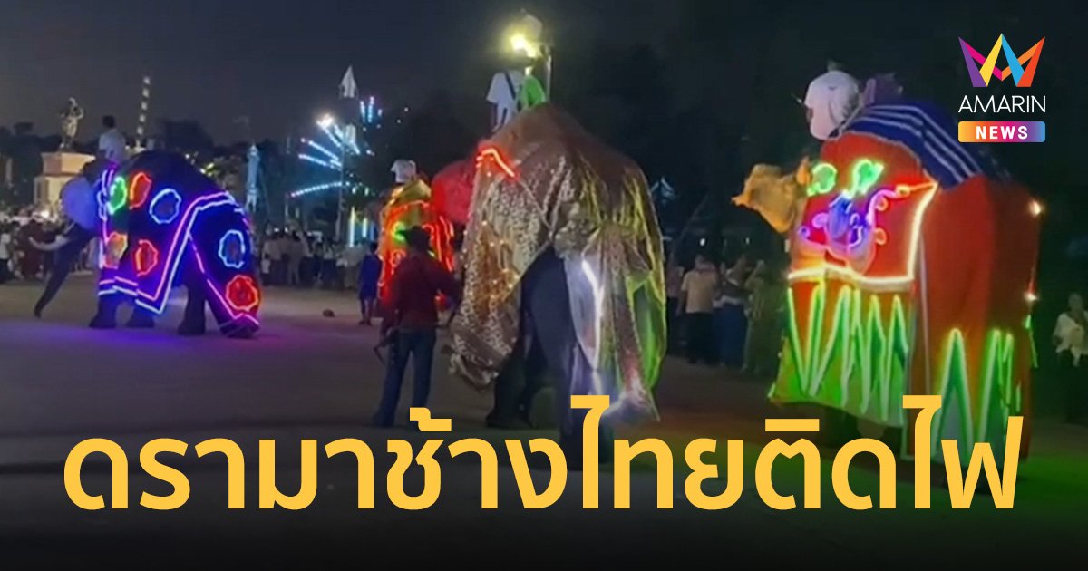 ดรามาเดือด! งานกฐินสุรินทร์ ทรมานช้างไทย คลุมผ้าติดไฟประดับลำตัว   