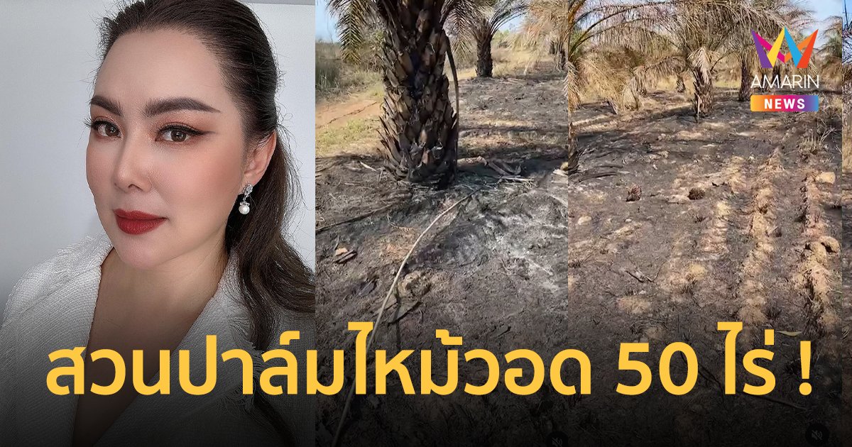 เข่าแทบทรุด !“บุ๋ม ปนัดดา” ไฟไหม้สวนปาล์ม 50 ไร่ ต้นเหตุคนมักง่ายเผาไร่อ้อยที่อยู่ติดกัน !