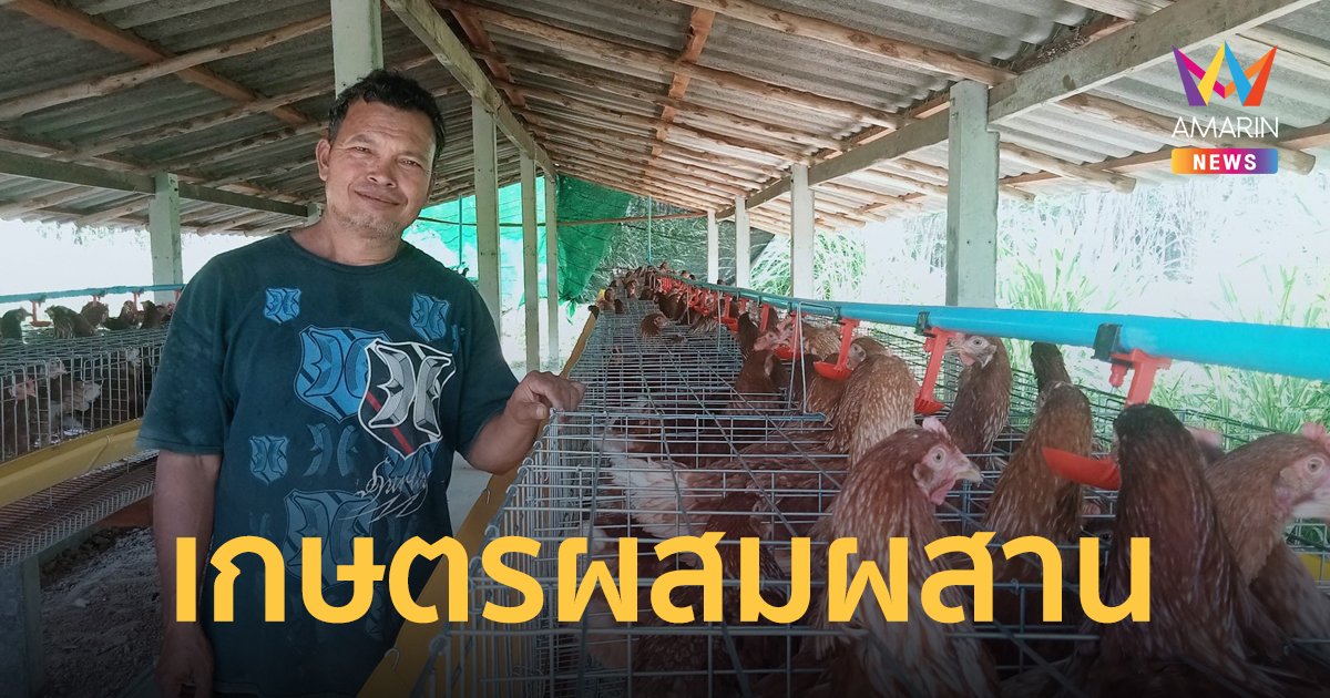 เกษตรกร จ.กระบี่ ทำเกษตรผสมผสาน มีรายได้กว่า 3 ล้าน 5 แสนบาทต่อปี