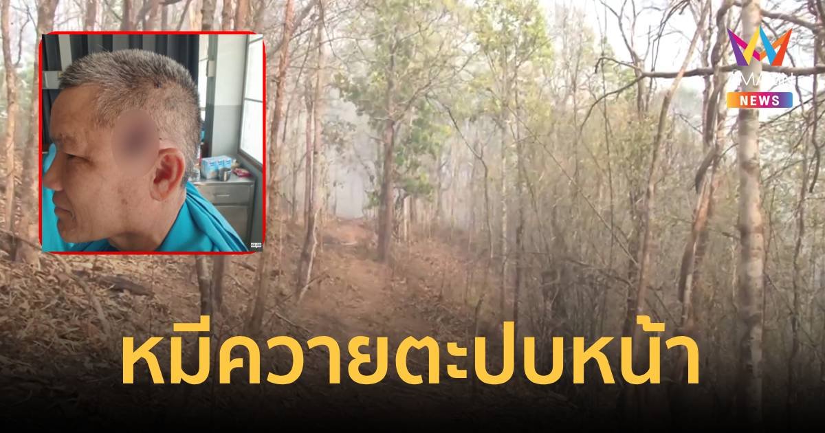 อาสาดับไฟป่าถูกหมีควายตะปบหน้า ระหว่างไปดับไฟบนเขา