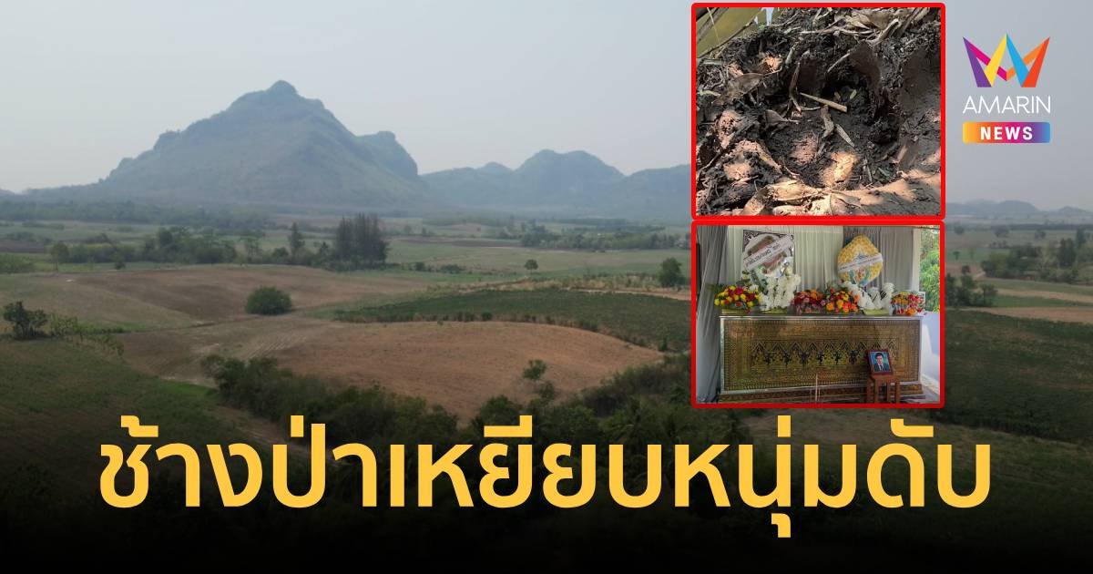 ช้างป่าออกอาละวาด เหยียบหนุ่มดับขณะนอนในกระท่อม-เมียโดดลงน้ำรอด