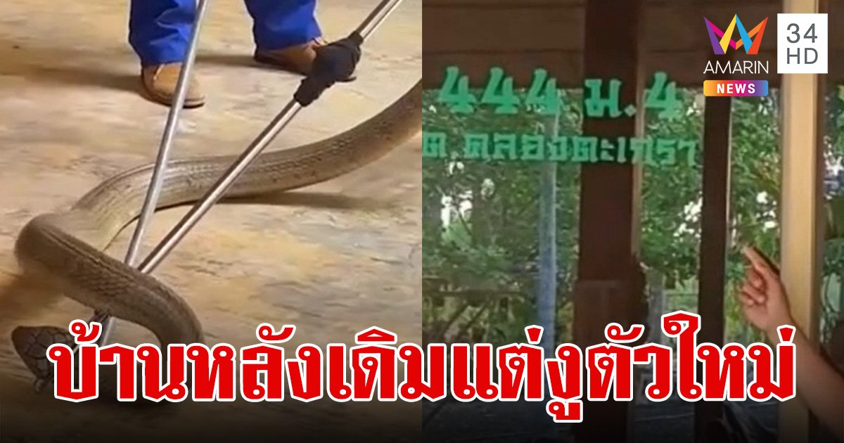 หนุ่ม 44 ผวาซ้ำ! จงอางยักษ์เกือบ 6 เมตร เข้าบ้านเลขที่ 444 หมู่ที่ 4 อีกแล้ว เตรียมทำบุญใหญ่