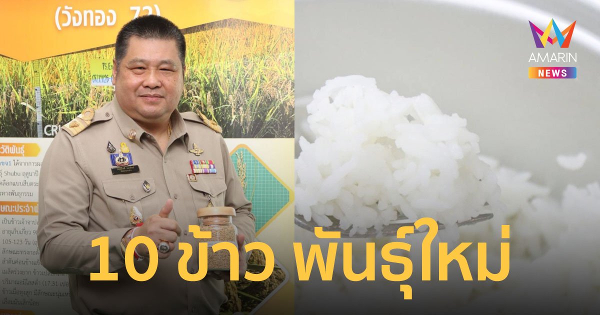 กรมการข้าว 10 ข้าวพันธุ์ใหม่ เพิ่มทางเลือกให้เกษตรกร