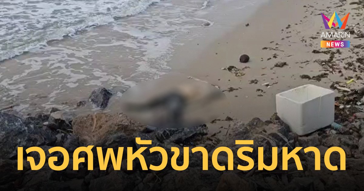สุดหลอน ออกมาชมวิวพระอาทิตย์ขึ้น กลับเจอศพหัวขาด ริม หาดเจ้าสำราญ