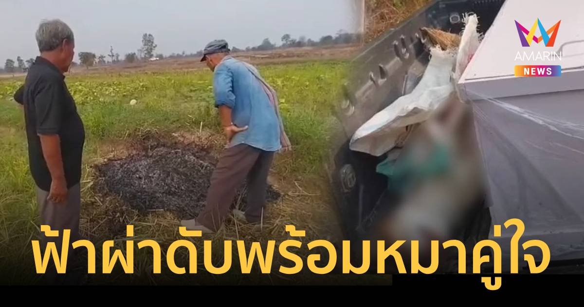 ฟ้าพิโรธผ่ายาย 66 ปีพร้อมสุนัขคู่ใจ ดับสลดกลางทุ่งนา