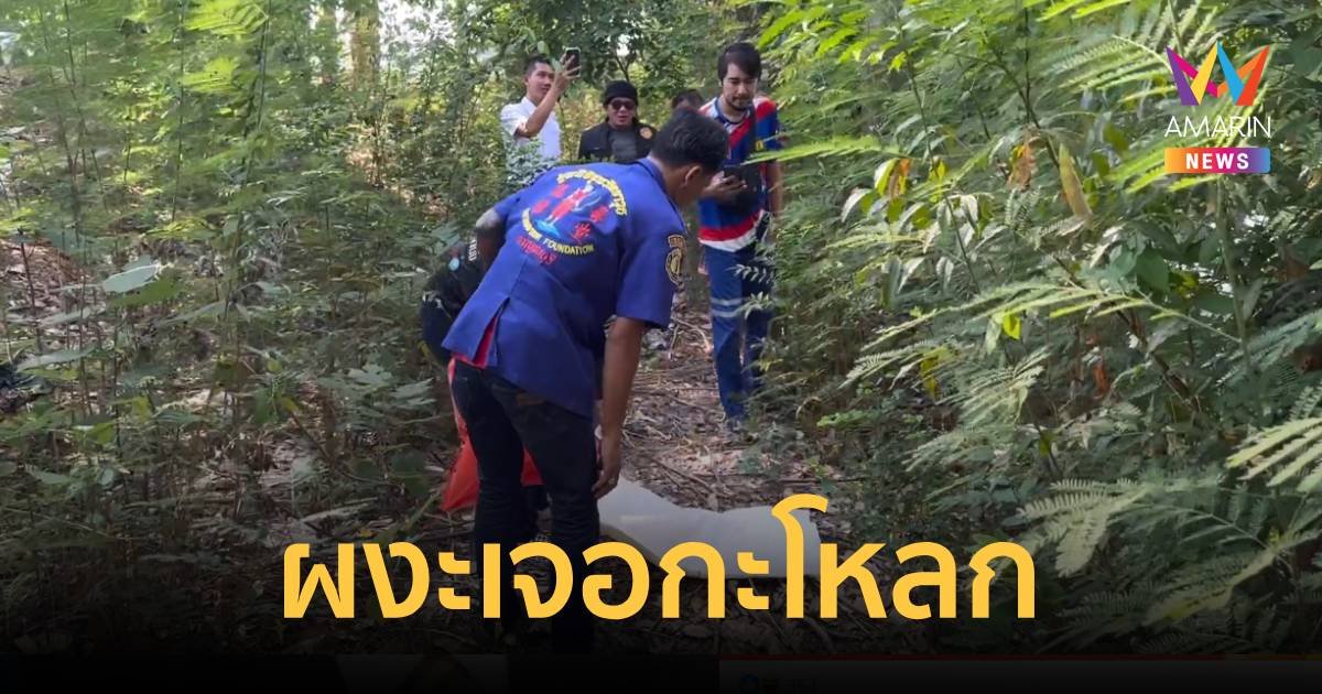 คนตัดฝืนผงะ เจอหัวกะโหลกปริศนา หวั่นฆาตกรรมอำพราง