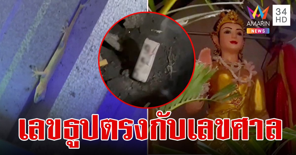 ขนลุก! ขอโชคอยู่ดีๆ จิ้งจก 2 หางโผล่ออกมา เลขธูปชัด 3 ตัว ตรงกับเลขศาลแม่ดอกสร้อย