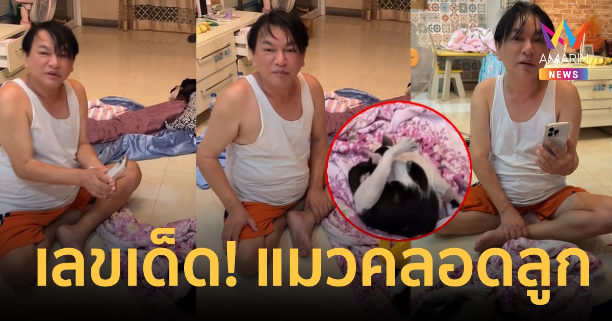 ส่องเลขที่บ้าน! "ธงธง มกจ๊ก" แมวคลอดลูก ทิ้งรกไว้ให้บูชา ได้ลูกโทนจะโชคดีมาก