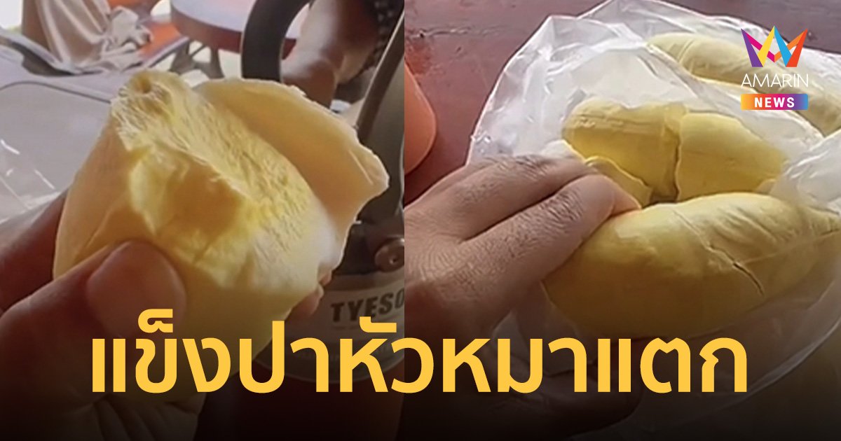 สาวเซ็ง เสียเงิน 400 ซื้อทุเรียนกรอบนอกนุ่มใน กินไม่ได้ แข็งปาหัวหมาแตก