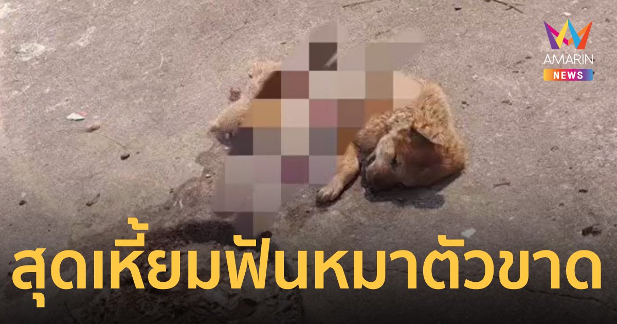 ชาวบ้านสุดทน สาปแช่งคนใจทราม ใช้มีดฟันสุนัขตัวขาด 2 ท่อน