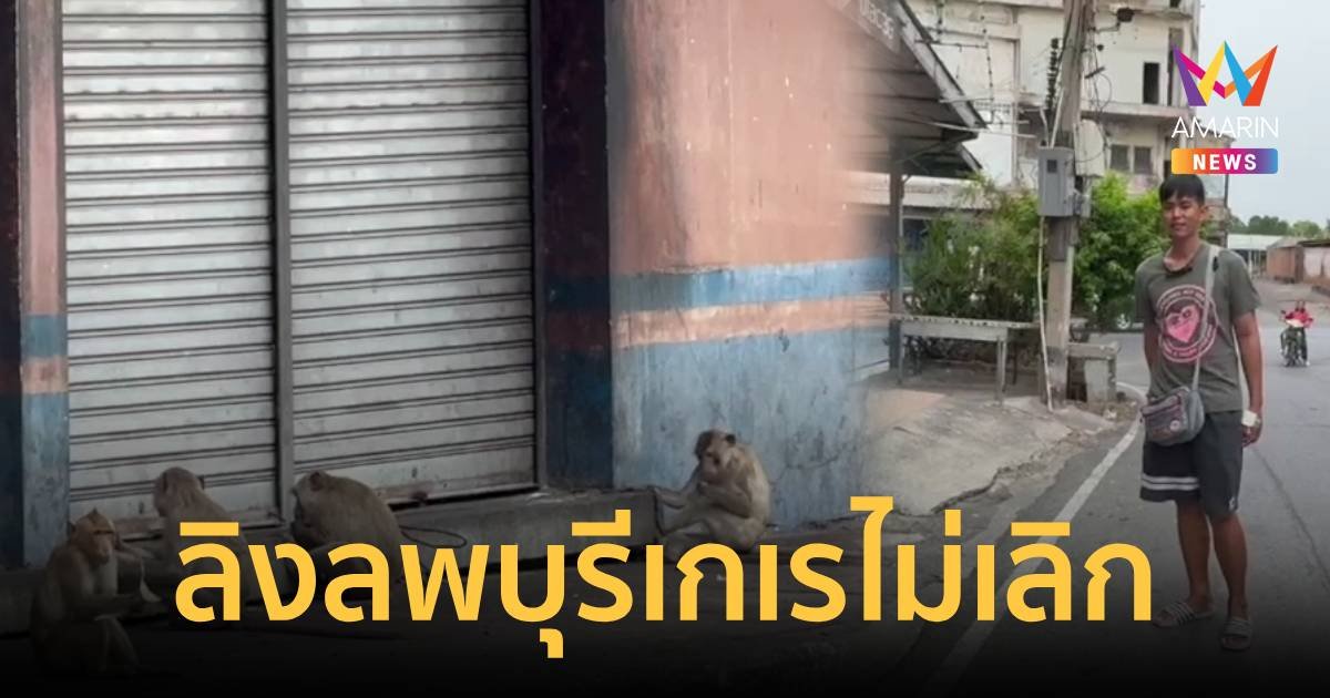 เกเรไม่เลิก!ลิงลพบุรี โดดแย่งแก้วกาแฟแว้งกัดมือเลือดสาด