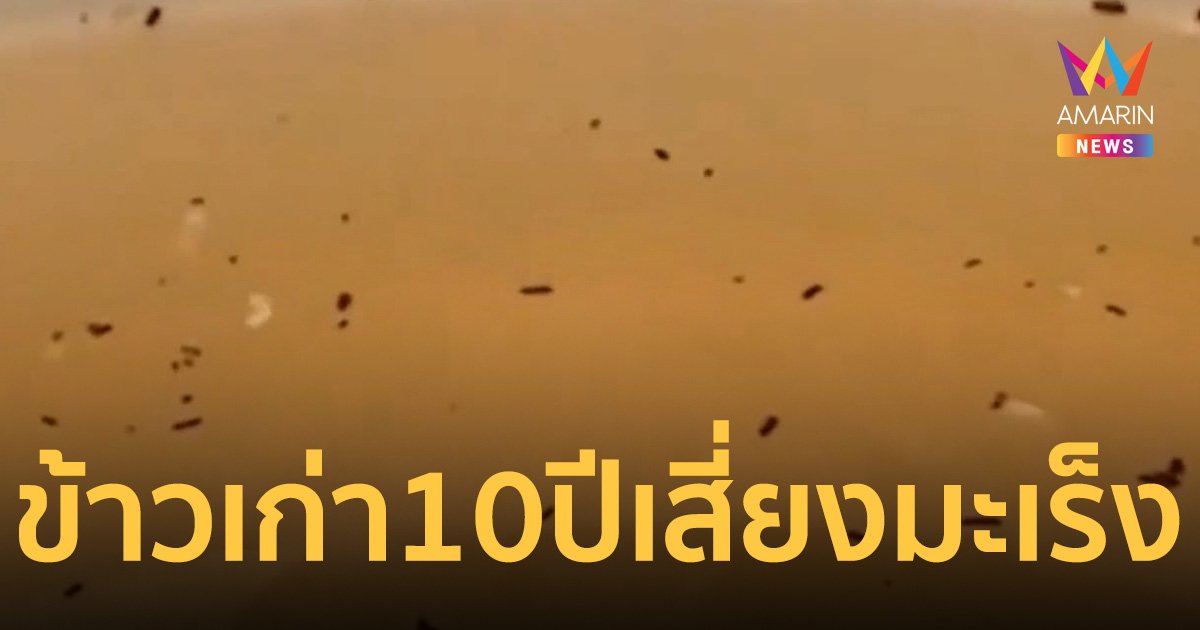 นักวิชาการเตือน อย่ากิน ข้าวเก่าค้าง 10 ปี เชื้อราเพียบ เสี่ยงมะเร็ง