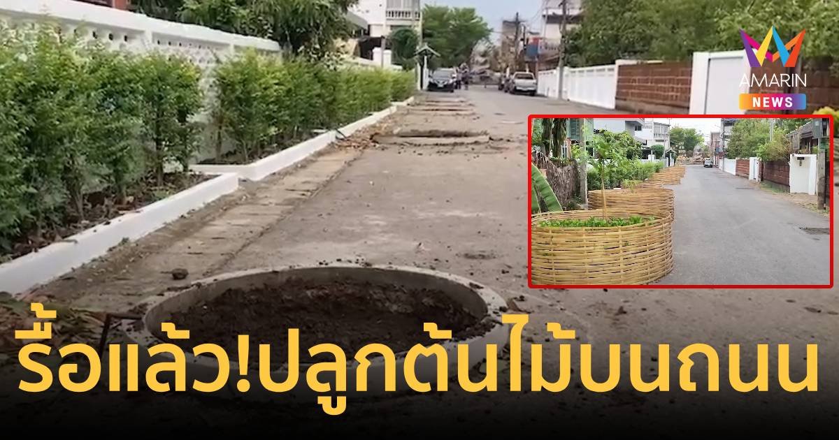 รื้อแล้ว! ปลูกต้นไม้กลางถนน หลังกระแสต่อต้านไม่ไหว