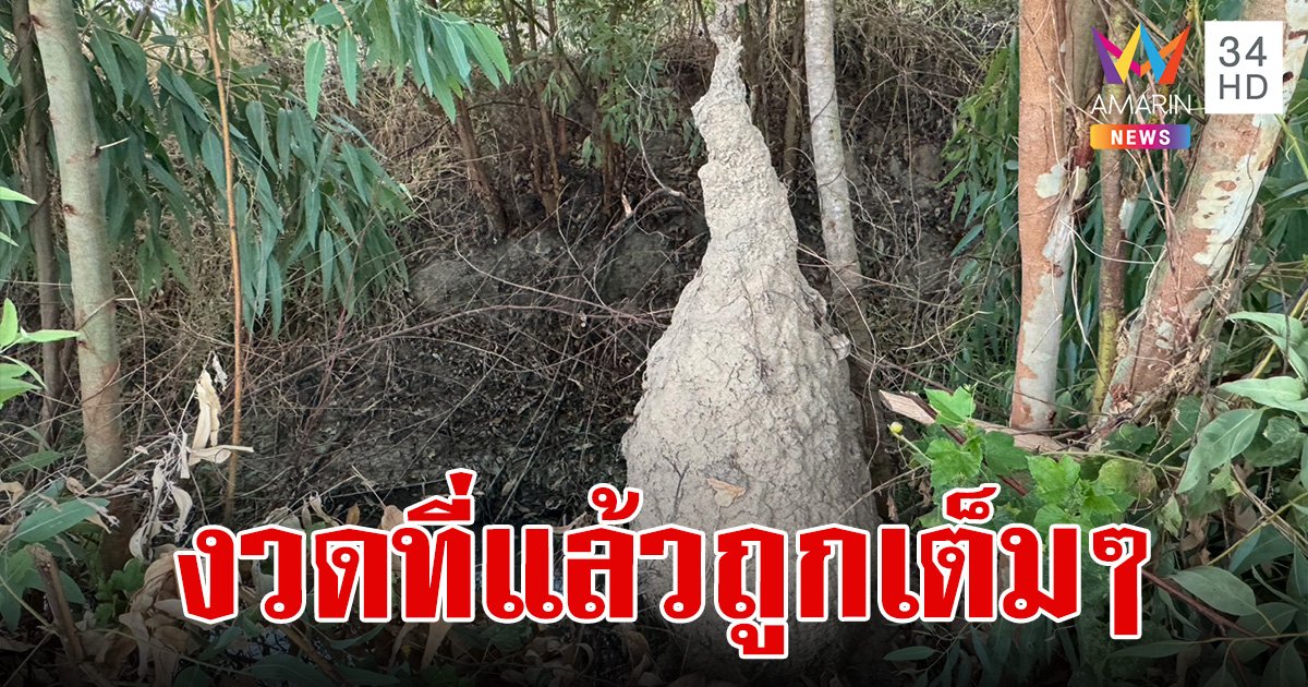 หนุ่มใหญ่กำลังสูบน้ำเข้านา จู่ๆ ได้ยินเสียงชายแก่เรียกจึงหันไปมอง ตะลึงเหลือเชื่อพบจอมปลวกคล้าย ปู่ฤๅษี เชื่อจะให้โชคงวด 2