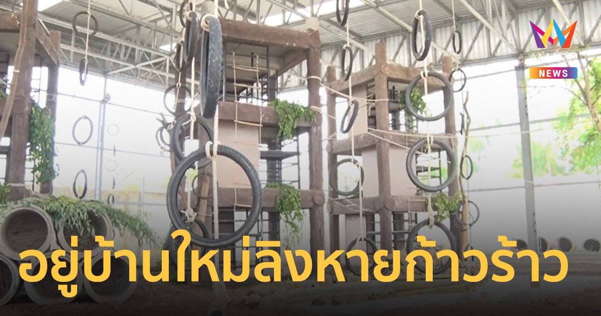 ลิงลพบุรี อยู่บ้านใหม่ หายก้าวร้าว ผ่านไปวันแรกมีความสุขดี